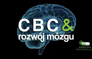 Medyczna marihuana: Kanabichromen (CBC) może pomóc w rozwoju mózgu