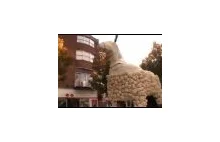 Upadek wielkiej kalafiorowej owcy