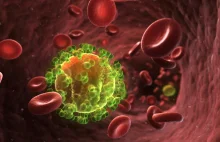 Zaprojektowana cząsteczka blokuje replikację HIV