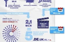 Domeny internetowe w Polsce - infografika