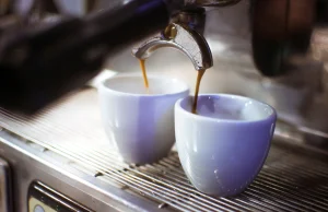 Espresso poproszę! Esencja w małej kawie • Coffee Plant