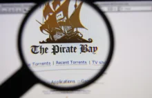 To bardzo niebezpieczny wyrok. Kolejny kraj "ocenzurował" The Pirate Bay