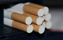Przywożenie papierosów z Polski do UK w celu odsprzedaży jest przestępstwem
