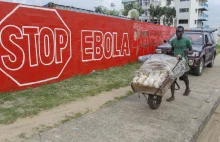 Ebola zabójcza jak grypa