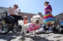 Wygrana LGBT i ich sprzymierzeńców w Irlandii