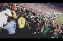 Masowa bójka Meksykanów na meczu reprezentacji