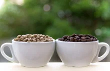 Działanie zielonej kawy – Wielkie odkrycie 2013 roku - Zielona Kawa