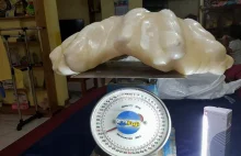 Fisherman Kept Giant $100 Million Dollar Pearl Under His Bed For 10 Years