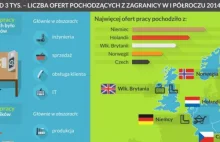 Zachód pożąda polskiego pracownika. Grozi nam epidemia emigracji