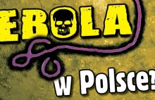 Gdyby Ebola trafiła do Polski...