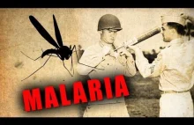 Malaria: Choroba, która w minionym stuleciu zabiła 300 mln ludzi