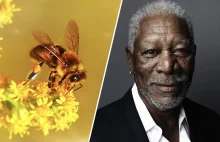 Morgan Freeman przekształcił swoje 124-akrowe ranczo w rezerwat dla pszczół.