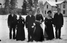 Atak wilków na gości weselnych w 1911 roku w Rosji
