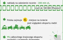 Lasy w Polsce - infografika