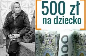 Skutki „500 plus” w Polsce. Analiza zespołu zespołu IndependentTrader.pl