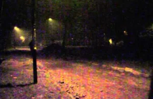 Murder without reaction.