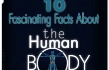 10 ciekawych faktów dotyczących ludzkiego ciała