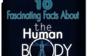 10 ciekawych faktów dotyczących ludzkiego ciała