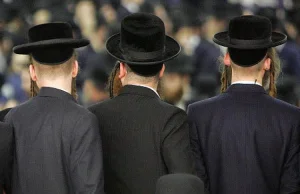 Nowa formacja polityczna w Niemczech: „Żydzi w AfD”! Prawicowa partia jako...