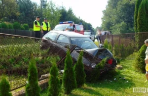 Kopytowa: Zjechała z drogi, bo do samochodu wpadła osa