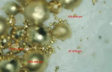 Odchody tego niesamowitego mikroorganizmu są w 100% ze złota!