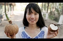 Kokosowy Test i Kokosowe Ciekawostki