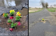 Zasadzili kwiaty w dziurach drogowych. Sposób mieszkańców na zwrócenie uwagi...