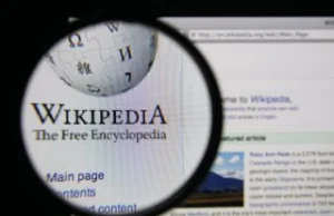 Wikimedia walczy z amnezją Google i pilnuje praw do twórczości małpy