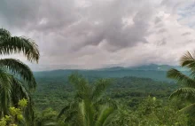 Imponujący wzrost zalesienia. Kuba rozpoczęła walkę z klimatyczną zagładą...