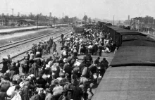 Koleje holenderskie wypłacą reparacje za udział w deportacjach Żydów