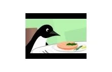 Socially Awkward Penguin