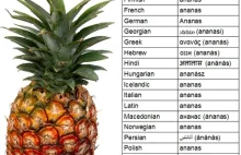 Ananas w wielu językach