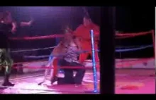 Kangur wyrzuca kobietę z ringu a potem wrzucą ją do kosza