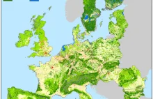 Jak zmieniło się zalesienie Europy przez ostatnie 100 lat [ENG]