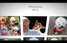 Psy przebrali w papieskie szaty