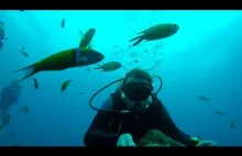 nurkowanie - wyspy kanaryjskie 4k