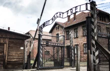 Ozdoby choinkowe ze zdjęciami z Auschwitz? Amazon wycofuje się ze sprzedaży