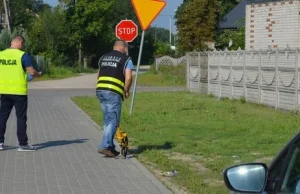 Tajemnica śmiertelnego wypadku rozwiązana po pół roku