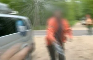 Reporterzy TVN 24 zaatakowani przy wycince puszczy