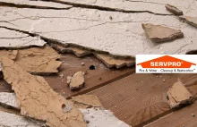 What are the most common Causes of Water Damage?