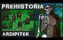 Prehistoria, Historia na Szybko