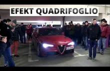 Alfa Romeo Giulia Quadrifoglio na zlocie Alfaholicy Małopolska