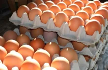 UE: Brak dostaw jaj i stale rosnące ceny