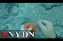 Nurek odnalazł skarb z hiszpańskiego wraku u wybrzeży Florydy