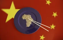 Obecność Chin w Afryce - Chińskie inwestycje, pomoc i migracja w Afryce
