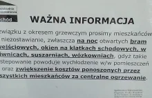 Tak dba o bezpańskie koty krakowska spółdzielnia