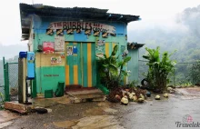 Rasta Camp w Górach Błękitnych na Jamajce