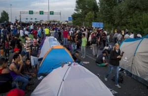 Niemcy sprowokowali imigracyjne tsunami, a teraz szukają frajerów na kajak