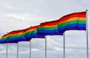 Niemieccy biskupi: homoseksualizm to normalność