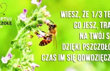 Znowu można adoptować pszczoły - ruszył Wielki Spis Zapylaczy